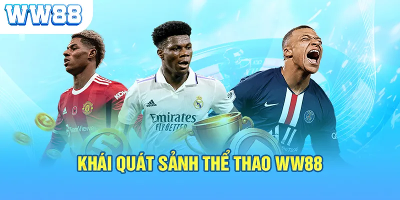 Khái quát sảnh thể thao WW88